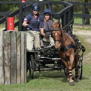 Meet your Posher, Cynthia